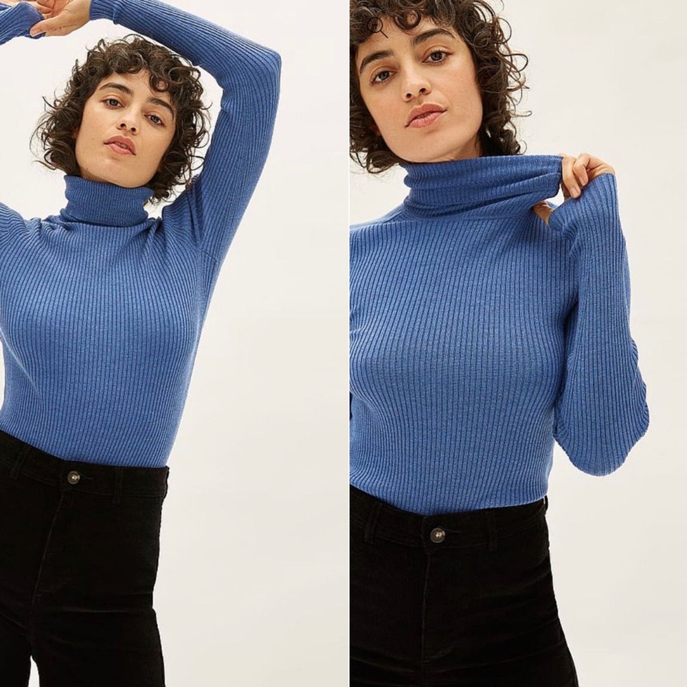 Everlane The Italian Merino Rib Turtleneck in Blue